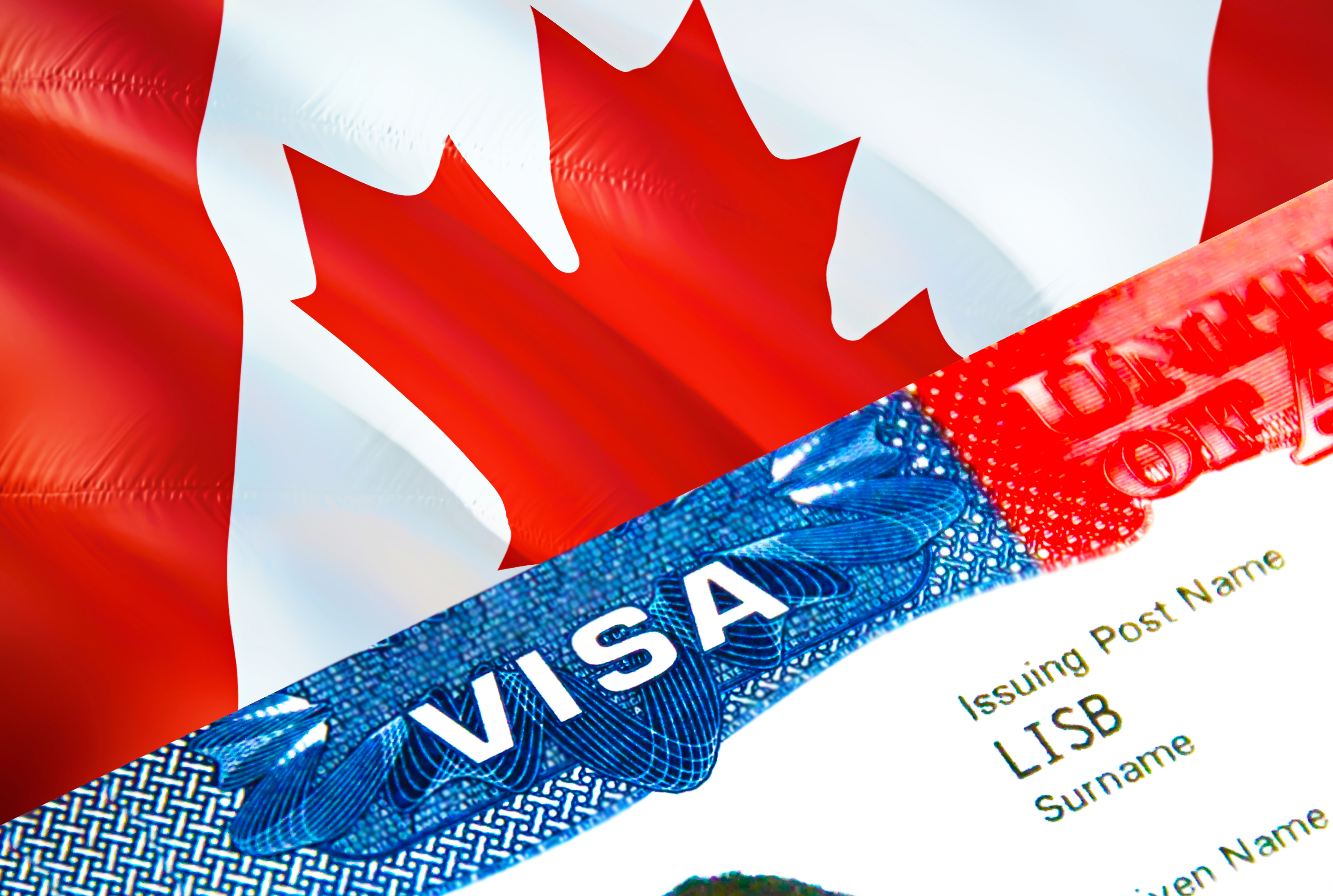 виза в канаду требования