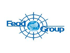 feod group логотип