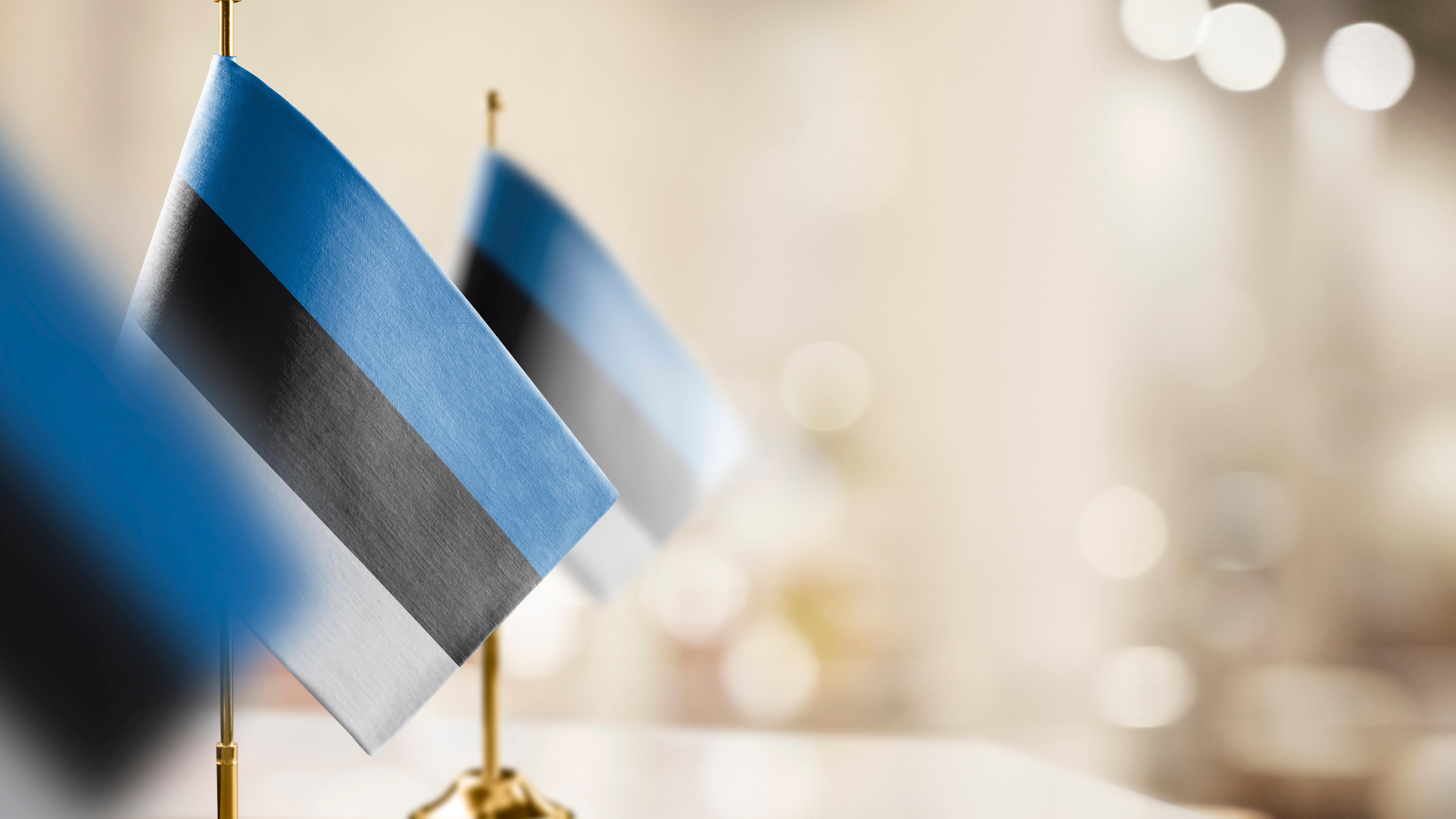 Как получить гражданство Эстонии
