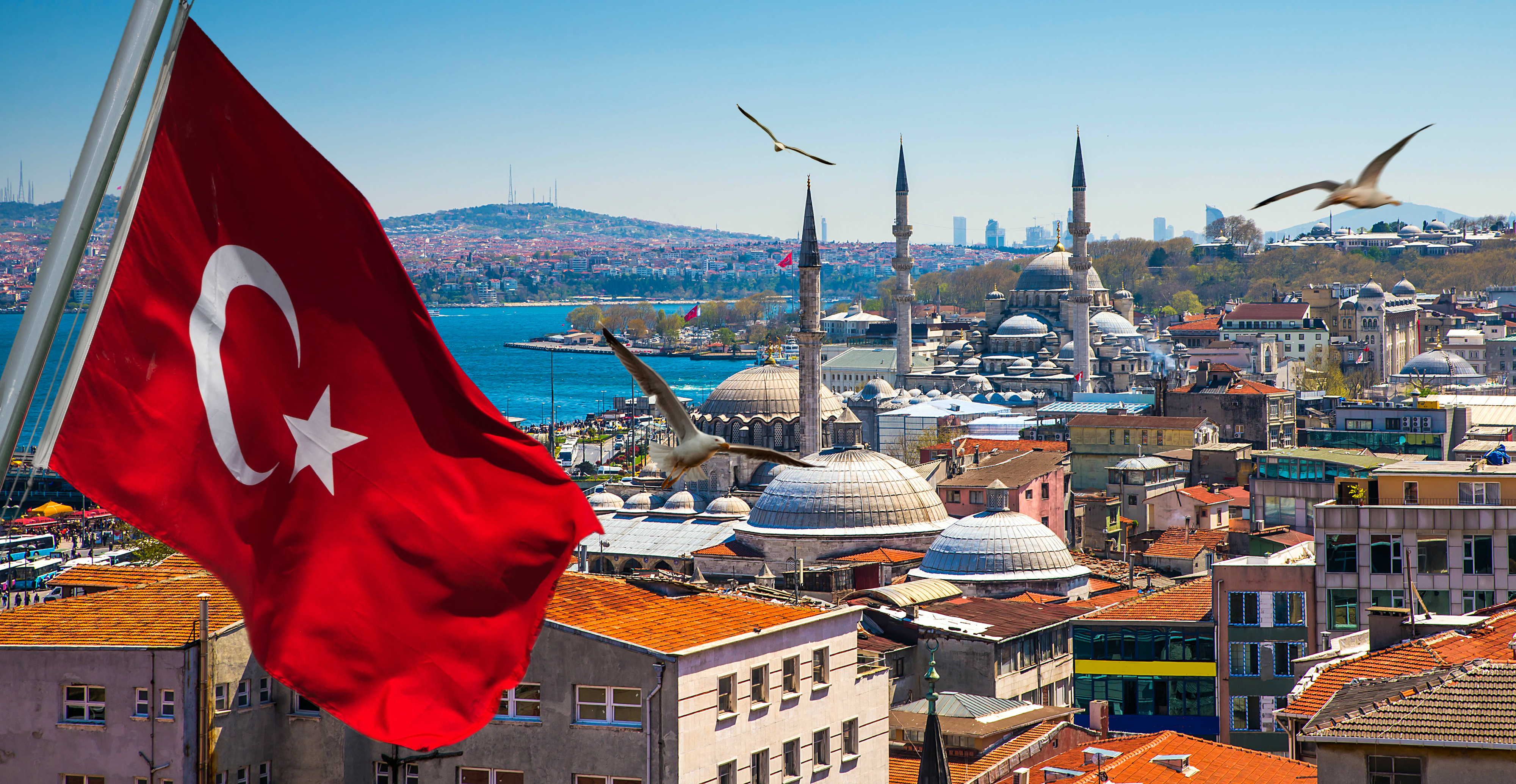 Вид на Стамбул и флаг Турции, ПМЖ которой могут получить россияне, украинцы и белорусы