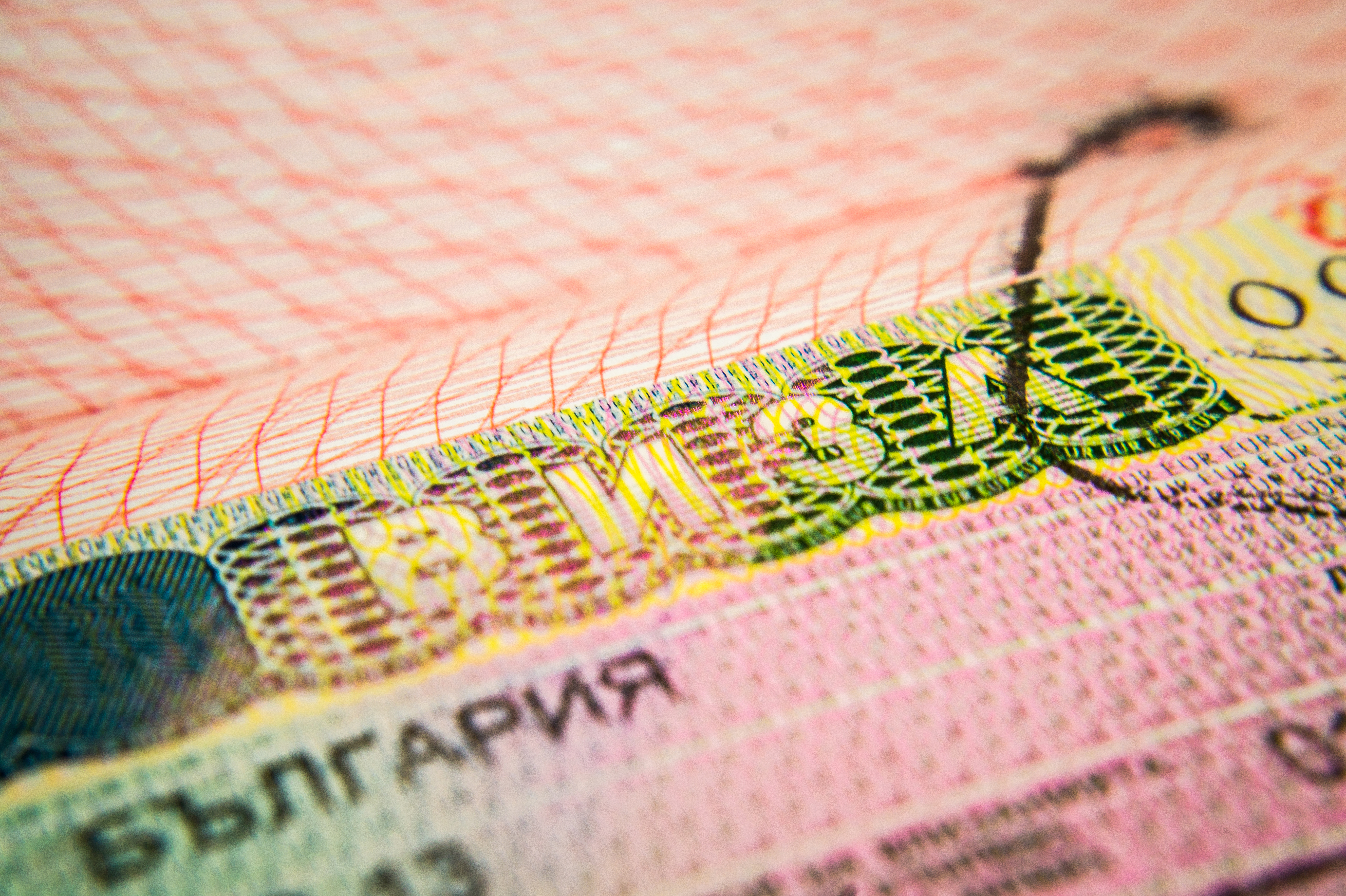 Болгарская виза, которую иностранные студенты могут оформить для учебы